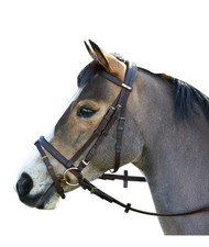 Wintec bridle brown for sale  Miami