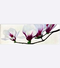 Quadro con fiori usato  Priolo Gargallo