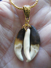 Coyote teeth pendant for sale  Tucson