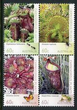 2013 carnivorous plants d'occasion  Expédié en Belgium