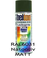 Ral 6031 nato gebraucht kaufen  Hattingen