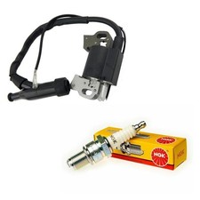 Ngk plug ignition for sale  Corona