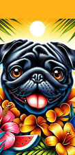 Pug black best for sale  USA