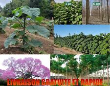 Paulownia z07 super d'occasion  Cahors