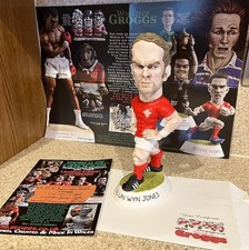 Alun wyn jones for sale  AMMANFORD