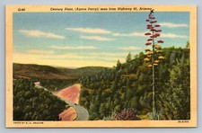 Postcard arizona century for sale  Fulton