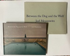 Joel meyerowitz between d'occasion  Paris XI