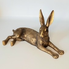 510g laying hare for sale  BRISTOL