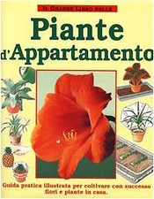 Grande libro delle usato  Italia