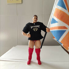Wwe william regal usato  Vistrorio