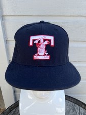 Minor league aaa for sale  Southgate