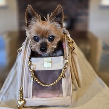 Bolsa satchel vintage de couro genuíno Juicy Couture para transporte de cães comprar usado  Enviando para Brazil