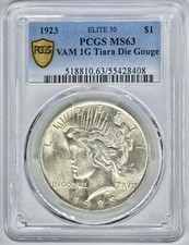 1923 P $1 dólar de prata Peace VAM-1G tiara Die Gouge Elite 30 PCGS MS63 escolha comprar usado  Enviando para Brazil