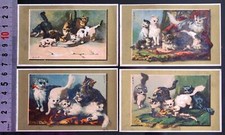 1890 chromo cats d'occasion  Aix-les-Bains