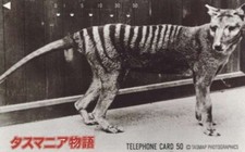 Japan australia tasmanischer gebraucht kaufen  Lingen (Ems)