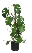70cm green decoris for sale  MANCHESTER