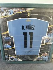 Camisa emoldurada Darwin Nunez assinada à mão Uruguai com certificado de autenticidade, usado comprar usado  Enviando para Brazil