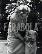 Vintage animali levriero usato  Roma