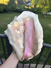 Spectacular large queen for sale  Lincoln