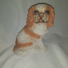 King charles puppy for sale  BISHOP AUCKLAND