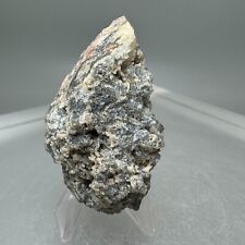 Fine rich calaverite for sale  Denver