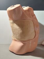 Pharmabotics thoraxdrainage si gebraucht kaufen  Hannover