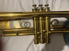 Taylor chicago custom. for sale  Saint Petersburg