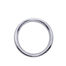 Piercing segment ring gebraucht kaufen  Kreischa