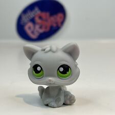 Kitten cat authentic for sale  Alexandria