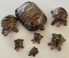 Family tortoise trinket for sale  TAUNTON