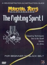 Fighting spirit vol. for sale  MANCHESTER
