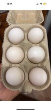 Vorwerk hatching ovals for sale  MALTON