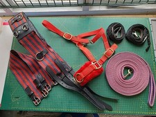 Lunging joblot full for sale  HARLOW
