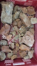 Tolle unpräparierte fossilien gebraucht kaufen  Berg b.Neumarkt i.d.OPf.