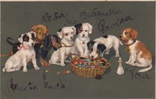 Cartão postal antigo Dachshund Dog and Jack Russell Terrier filhotes 1911 comprar usado  Enviando para Brazil