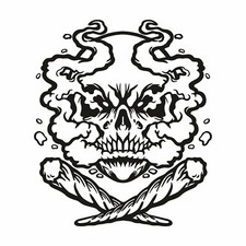 Skull stickers motorcycle d'occasion  Expédié en Belgium