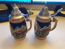 Boccali birra heiligenblut usato  Italia