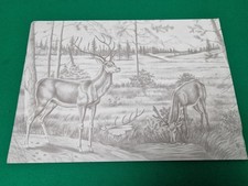 Unframed print two for sale  LEOMINSTER