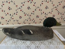 Mallard animal trap for sale  Northbrook