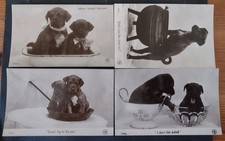 Real photo dog for sale  POTTERS BAR