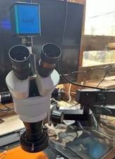 stereo microscope for sale stereo microscope for sale FORT WILLIAM