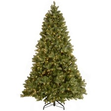 National tree company for sale  Seattle