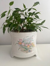 Royal victoria pottery for sale  HIGH WYCOMBE