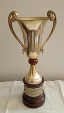 Coppa trofeo campionato usato  Ferrara