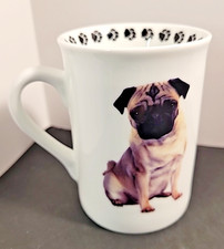 teacup pug for sale teacup pug for sale Waldorf