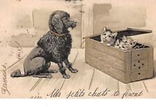 Animaux 67986 chien d'occasion  France