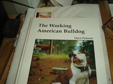 Working american bulldog for sale  Arlington