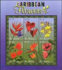 Kitts 2001 fiori usato  Trambileno