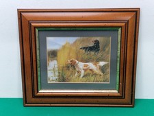 Framed spaniel dog for sale  LEOMINSTER