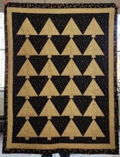 Throw quilt stunning for sale  Travelers Rest